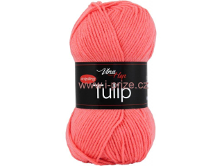 Tulip 4013
